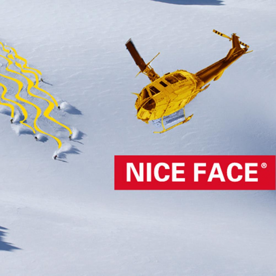 NICE FACE Snowboard Goggles Men Women Mask Skiing Motorcycle Protection Snowmobile Ski Anti UV