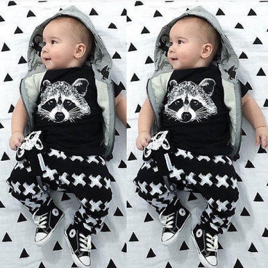 2Pcs New Toddler Baby Boys Fox T-shirts Long Pants Leggings Outfits Clothing Set Costume