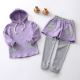Baby Girls Casual Hooded Long Sleeve Top Pants Sets Baby Girls Casual Hooded Long Sleeve Top Pants Sets