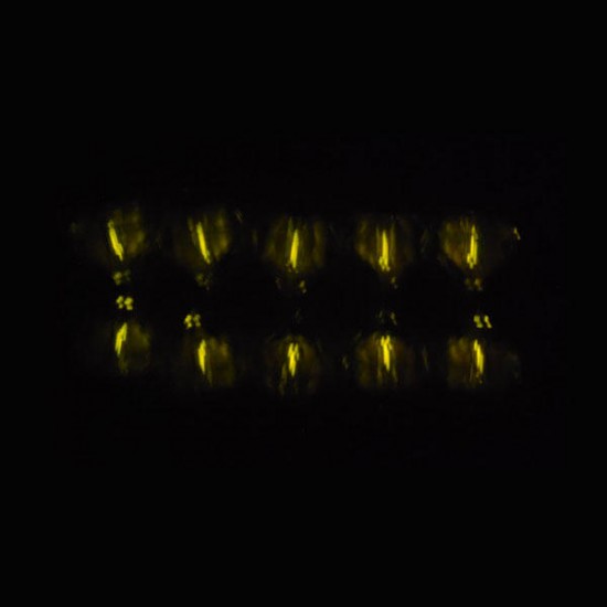 1.5x6mm Trit Vials Self-luminous 15-Years Diamond Heart Decoration 1.5x6mm Trit Vials Self-luminous 15-Years Diamond Heart Decoration
