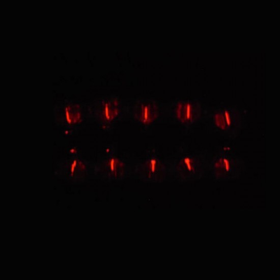 1.5x6mm Trit Vials Self-luminous 15-Years Diamond Heart Decoration 1.5x6mm Trit Vials Self-luminous 15-Years Diamond Heart Decoration