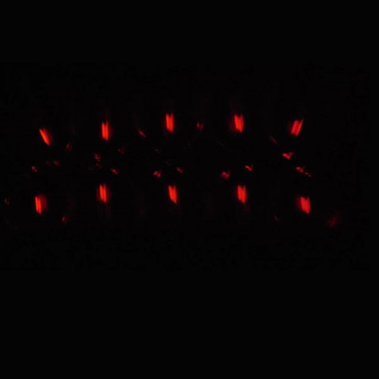 1.5x6mm Trit Vials Self-luminous 15-Years Heart Shape Decoration 1.5x6mm Trit Vials Self-luminous 15-Years Heart Shape Decoration