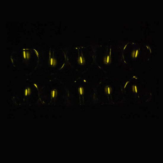 1.5x6mm Trit Vials Self-luminous 15-Years Heart Shape Decoration 1.5x6mm Trit Vials Self-luminous 15-Years Heart Shape Decoration