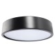 12W 18W 24W 5CM Warm/Cold White LED Ceiling Light Black Mount Fixture for Home Bedroom Living Room