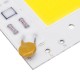 100W/150W Smart IC No Need Driver COB DIY LED Chip White/Warm White for Floodlight AC170-260V 100W/150W Smart IC No Need Driver COB DIY LED Chip White/Warm White for Floodlight AC170-260V
