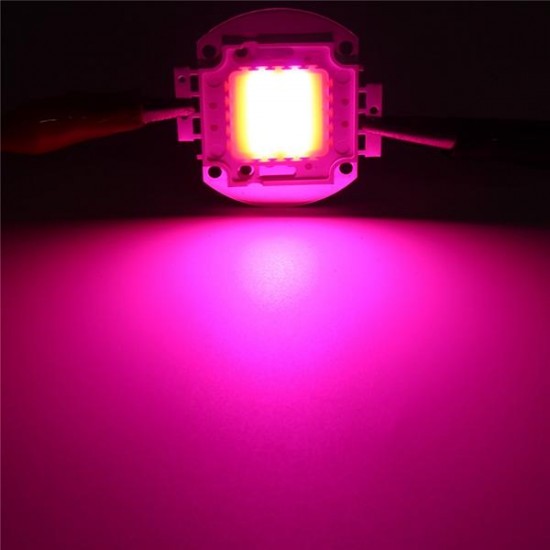 10W 20W 30W 50W 100W 380NM-840NM Full Spectrum High Power LED Chip Grow Light