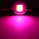 10W 20W 30W 50W 100W 380NM-840NM Full Spectrum High Power LED Chip Grow Light 10W 20W 30W 50W 100W 380NM-840NM Full Spectrum High Power LED Chip Grow Light