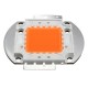 10W 20W 30W 50W 100W 380NM-840NM Full Spectrum High Power LED Chip Grow Light 10W 20W 30W 50W 100W 380NM-840NM Full Spectrum High Power LED Chip Grow Light