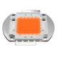 10W 20W 30W 50W 100W 380NM-840NM Full Spectrum High Power LED Chip Grow Light