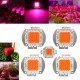 10W 20W 30W 50W 100W 380NM-840NM Full Spectrum High Power LED Chip Grow Light 10W 20W 30W 50W 100W 380NM-840NM Full Spectrum High Power LED Chip Grow Light
