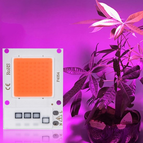10W 20W 30W Full Spectrum 380-840NM Plant Grow Light LED COB Chip for Vegetable Flower AC180-265V