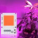 10W 20W 30W Full Spectrum 380-840NM Plant Grow Light LED COB Chip for Vegetable Flower AC180-265V