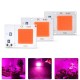 10W 20W 30W Full Spectrum 380-840NM Plant Grow Light LED COB Chip for Vegetable Flower AC180-265V 10W 20W 30W Full Spectrum 380-840NM Plant Grow Light LED COB Chip for Vegetable Flower AC180-265V