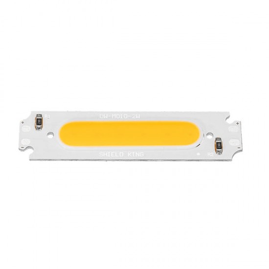 2W 160LM White/Warm White COB LED Light Chip for DIY Flood Light DC12V