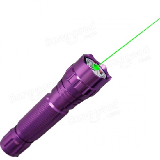 501B 532nm Flashlight Shaped Green Laser Pointer (1*16340)