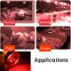 E27 100W 150W 175W 250W Smart Infrared LED Light Pets Bulb Poultry Heat Lamp AC110-240V