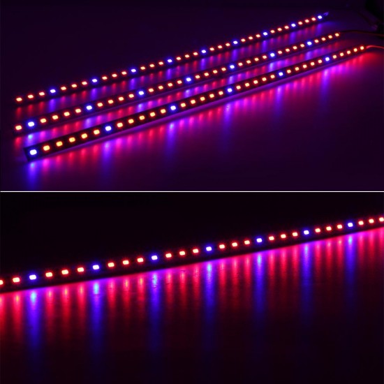 10PCS 50CM SMD5630 Red:Blue 3:1 /4:1 /5:1 LED Grow Rigid Bar Strip for Hydroponics Greenhouse DC12V