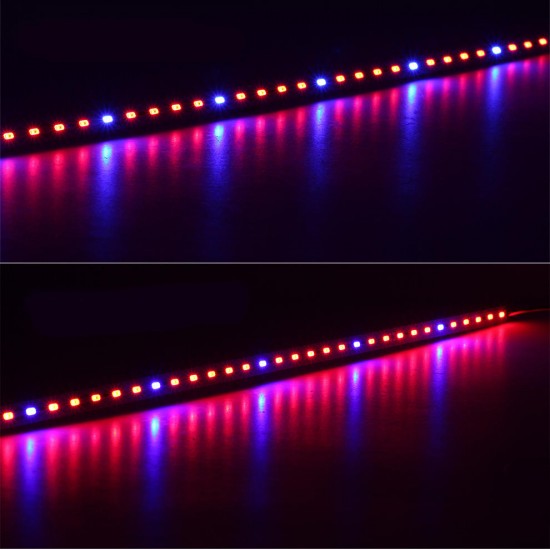 10PCS 50CM SMD5630 Red:Blue 3:1 /4:1 /5:1 LED Grow Rigid Bar Strip for Hydroponics Greenhouse DC12V 10PCS 50CM SMD5630 Red:Blue 3:1 /4:1 /5:1 LED Grow Rigid Bar Strip for Hydroponics Greenhouse DC12V