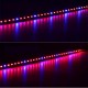 10PCS 50CM SMD5630 Red:Blue 3:1 /4:1 /5:1 LED Grow Rigid Bar Strip for Hydroponics Greenhouse DC12V 10PCS 50CM SMD5630 Red:Blue 3:1 /4:1 /5:1 LED Grow Rigid Bar Strip for Hydroponics Greenhouse DC12V
