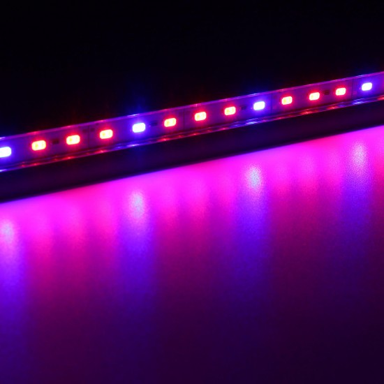 10PCS 50CM SMD5730 Red:Blue 3:1 LED Plant Grow Rigid Strip Hydroponic Light Kit DC12V