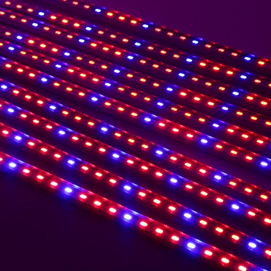 10PCS 50CM SMD5730 Red:Blue 3:1 LED Plant Grow Rigid Strip Hydroponic Light Kit DC12V