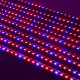 10PCS 50CM SMD5730 Red:Blue 3:1 LED Plant Grow Rigid Strip Hydroponic Light Kit DC12V 10PCS 50CM SMD5730 Red:Blue 3:1 LED Plant Grow Rigid Strip Hydroponic Light Kit DC12V