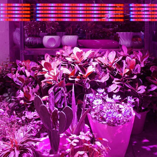 10PCS 50CM SMD5730 Red:Blue 3:1 LED Plant Grow Rigid Strip Hydroponic Light Kit DC12V