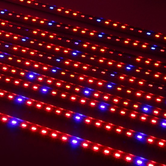 10PCS 50CM SMD5730 Red:Blue 5:1 LED Plant Grow Rigid Strip Hydroponic Bar Light Kit DC12V