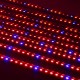 10PCS 50CM SMD5730 Red:Blue 5:1 LED Plant Grow Rigid Strip Hydroponic Bar Light Kit DC12V