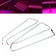 5PCS 50CM SMD5050 Red:Blue 5:1 Grow Plant LED Strip Light with Connector for Greenhouse DC12V 5PCS 50CM SMD5050 Red:Blue 5:1 Grow Plant LED Strip Light with Connector for Greenhouse DC12V