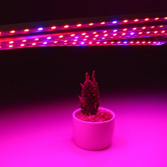 5PCS 50CM SMD5050 Red:Blue 5:1 Grow Plant LED Strip Light with Connector for Greenhouse DC12V 5PCS 50CM SMD5050 Red:Blue 5:1 Grow Plant LED Strip Light with Connector for Greenhouse DC12V