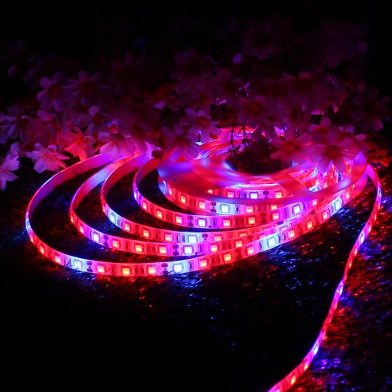 0.5M/1M/2M/3M/4M/5M 5050SMD Waterproof Red:Blue 3:1 Full Spectrum Grow LED Strip Light DC12V