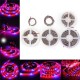 0.5M/1M/2M/3M/4M/5M 5050SMD Waterproof Red:Blue 3:1 Full Spectrum Grow LED Strip Light DC12V 0.5M/1M/2M/3M/4M/5M 5050SMD Waterproof Red:Blue 3:1 Full Spectrum Grow LED Strip Light DC12V