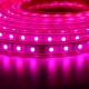 10/15M SMD5050 LED RGB Flexible Rope Outdoor Waterproof Strip Light + Plug + Remote Control AC220V 10/15M SMD5050 LED RGB Flexible Rope Outdoor Waterproof Strip Light + Plug + Remote Control AC220V