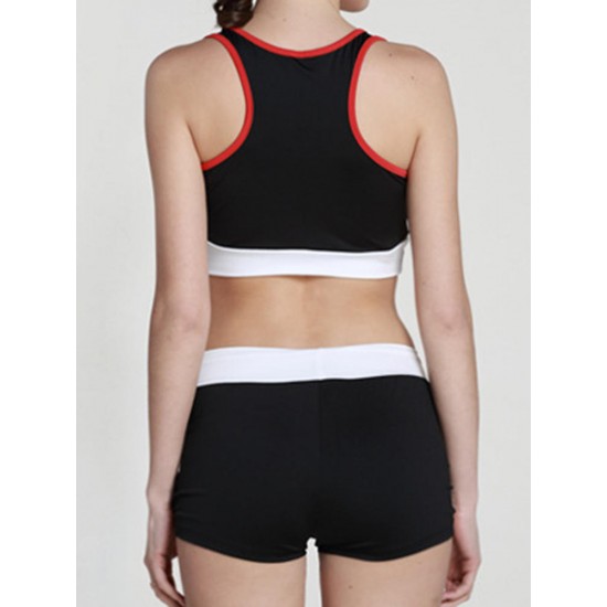 Women Comfortable Shockproof Outfits Wireless Fitness Running Elastic Sports Yoga Bra Set Women Comfortable Shockproof Outfits Wireless Fitness Running Elastic Sports Yoga Bra Set