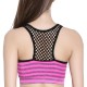 Comfort Wireless Stripe Vest Hollow Out Mesh Shockproof Sport Bra