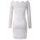 Women Sexy Lace Hollow Out Floral Embroidery Patchwork Bodycon Dress