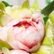 10 Heads Artificial Silk Flower Peony Wedding Bouquet Party Home Decoration
