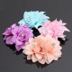 5 Color Diamond Simulation Flower Hairpin Bride Hair Accessories