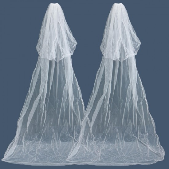 3 Metres Two Layers Long Wedding Veil Comb Soft Tulle Cut Edge Cathedral Bride Accessories