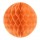 Light Orange 