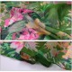 Women Ladies Peony Flower Printed Voile Scraves Floral Stole Long Soft Shawl Wrap