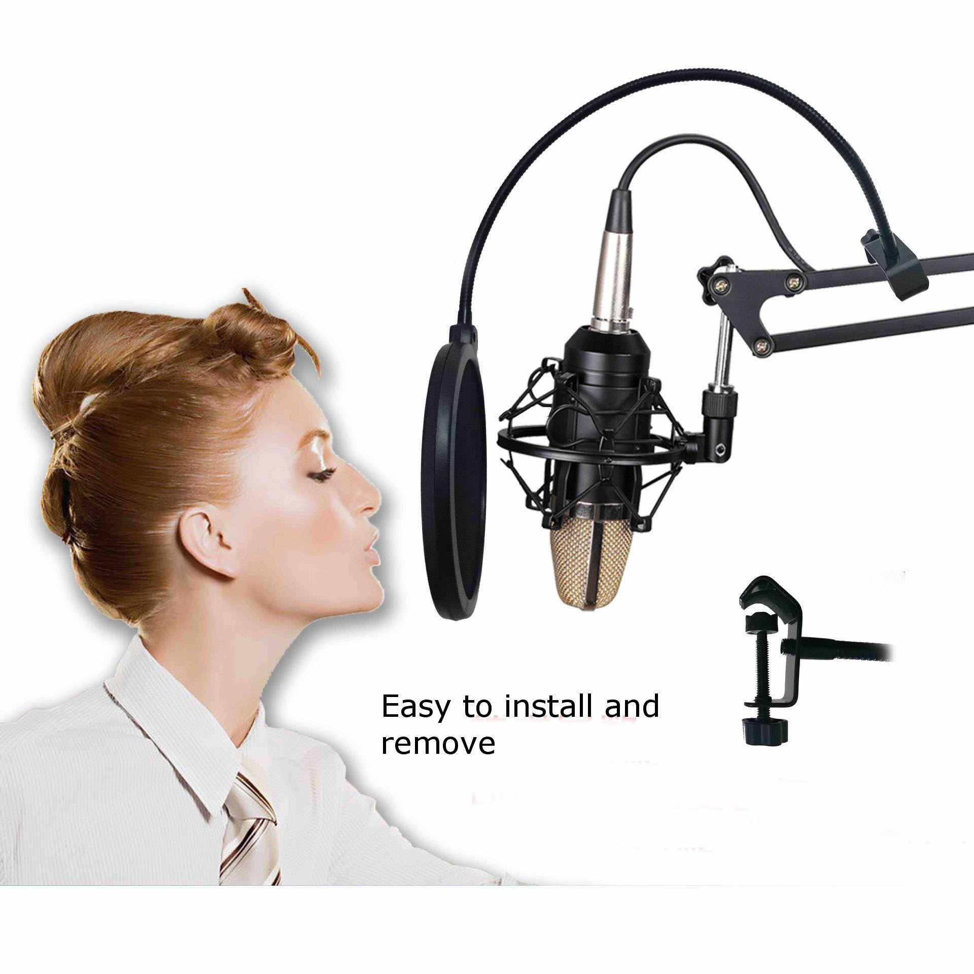Double-Layer-Studio-Microphone-Mic-Pop-Filter-Wireless-Swivel-Mount-Circular-Shield-For-Recording-1176212