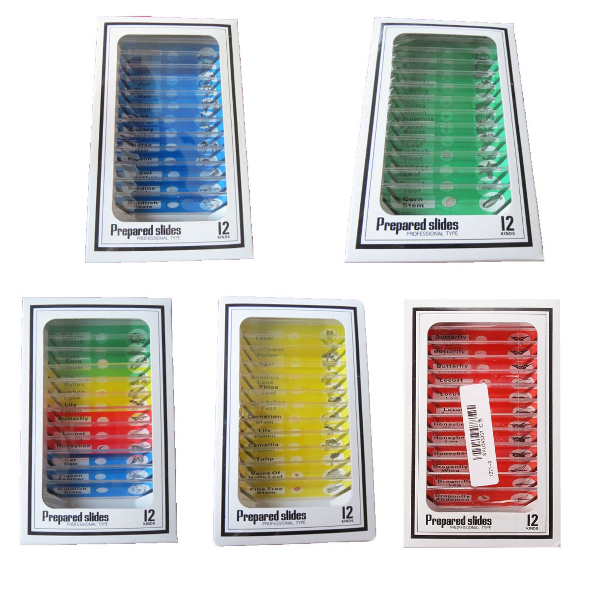 1-Box-12pcs-Animals-Insects-Plants-Flowers-Plastic-Prepared-Microscope-Slides-1044429