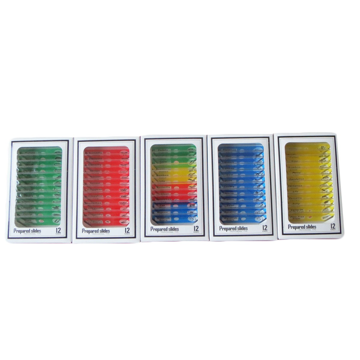 1-Box-12pcs-Animals-Insects-Plants-Flowers-Plastic-Prepared-Microscope-Slides-1044429