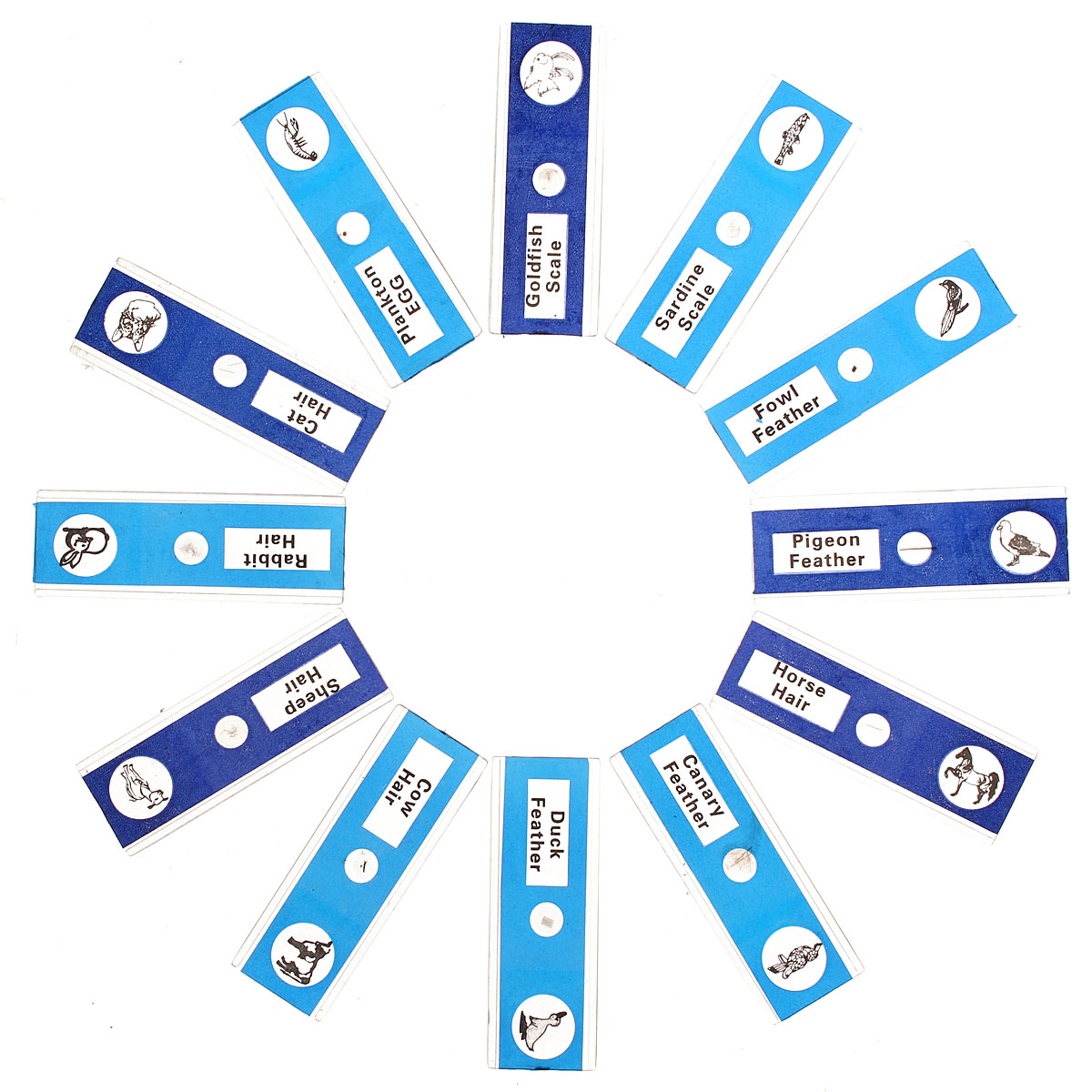 1-Box-12pcs-Animals-Insects-Plants-Flowers-Plastic-Prepared-Microscope-Slides-1044429
