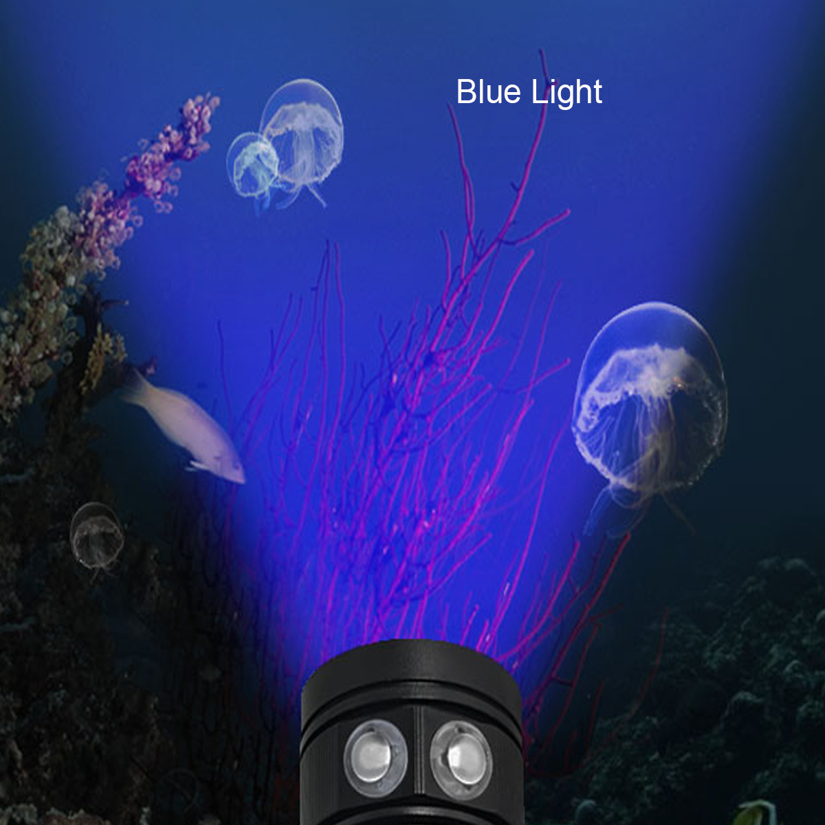 A10-Waterproof-Diving-Photography-LED-Video-Flashlight-10xT6-4xRed-4xBlue-1208182