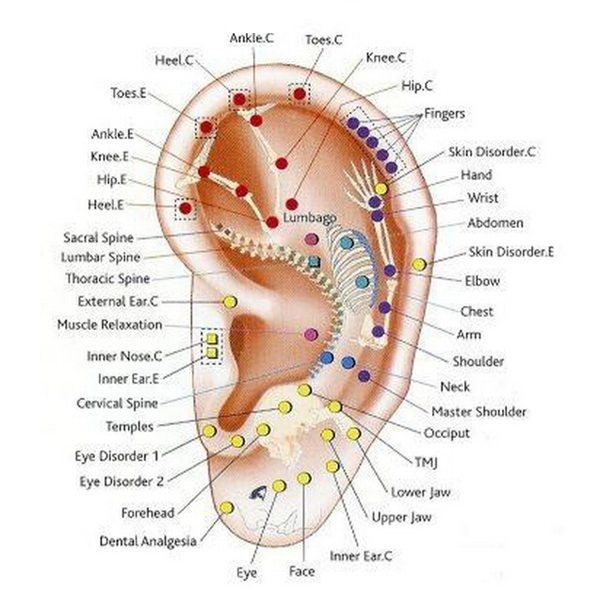 Ear-Massage-Bead-Auricular-Acupuncture-Point-Massage-Stickers-964559