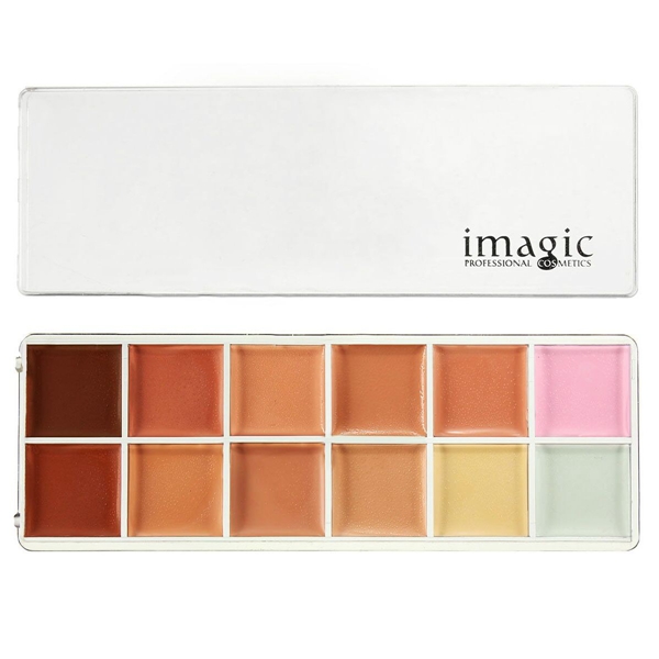 12-Naked-Colors-Thin-Lasting-Concealer-Foundation-Cream-Palette-Makeup-1024252