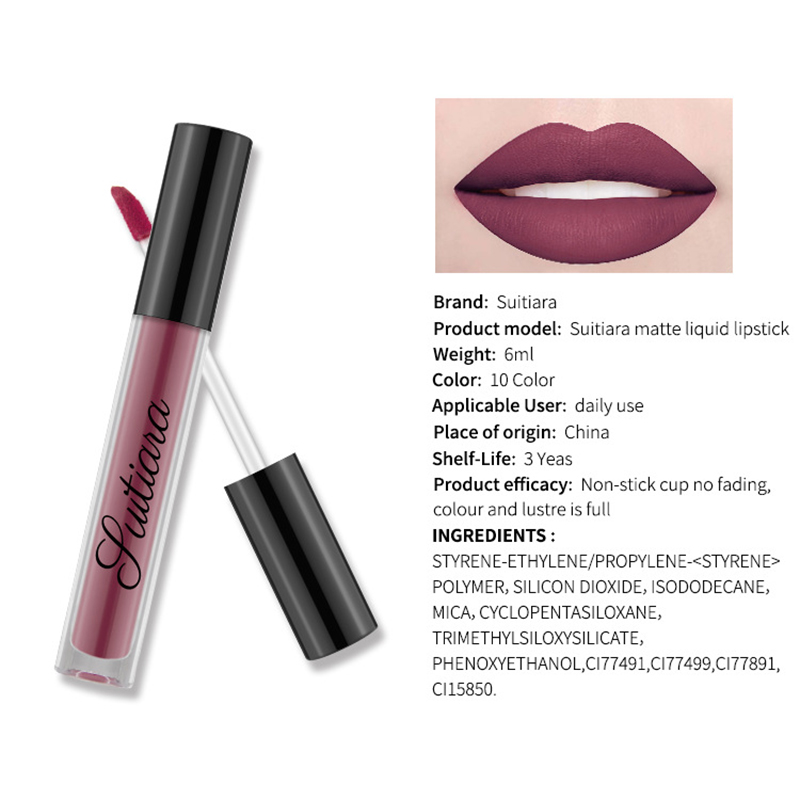 10-Colors-Matte-Velvet-Lip-Gloss-Lips-Makeup-Long-Lasting-Waterproof-1275183